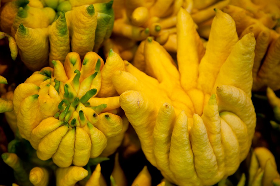 皰疹的最佳治療方法 食療也可治皰疹