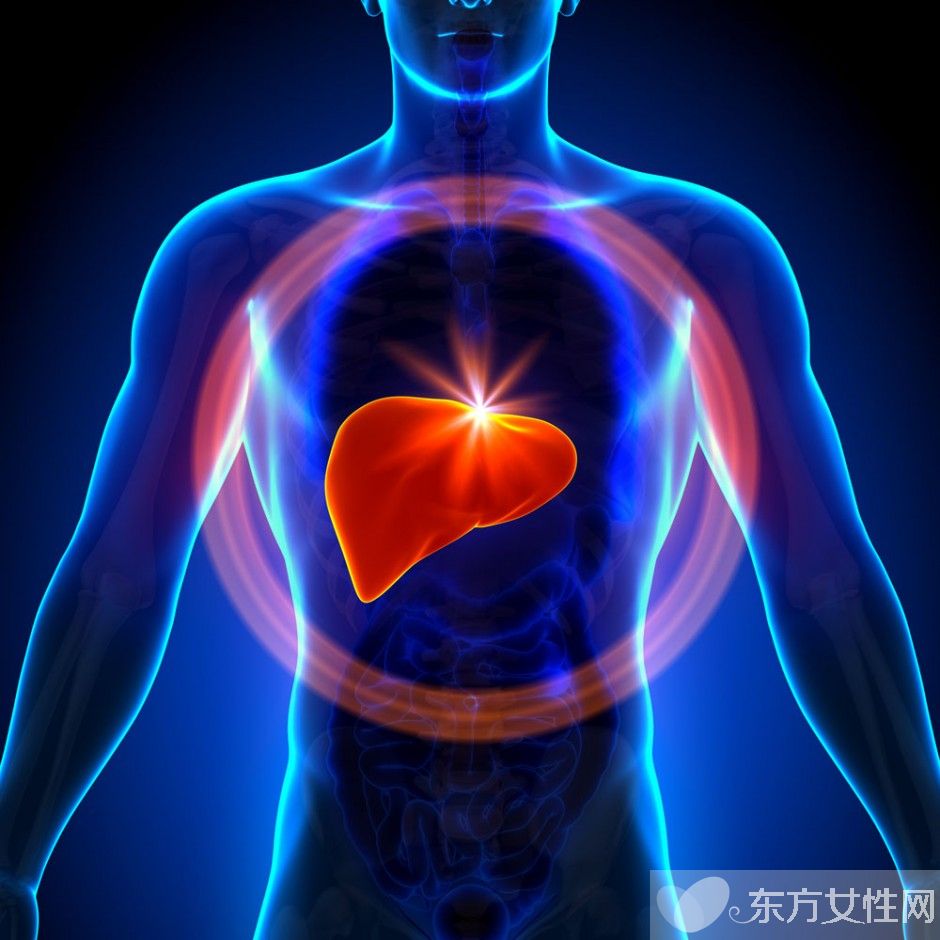 乙肝知識(shí)普及 乙肝病毒攜帶者是乙肝嗎