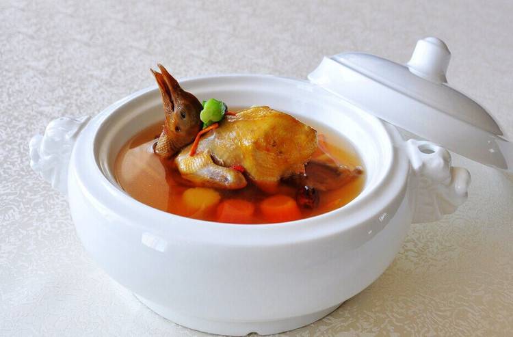 鴿子湯的功效與作用 探究鴿子湯回奶嗎