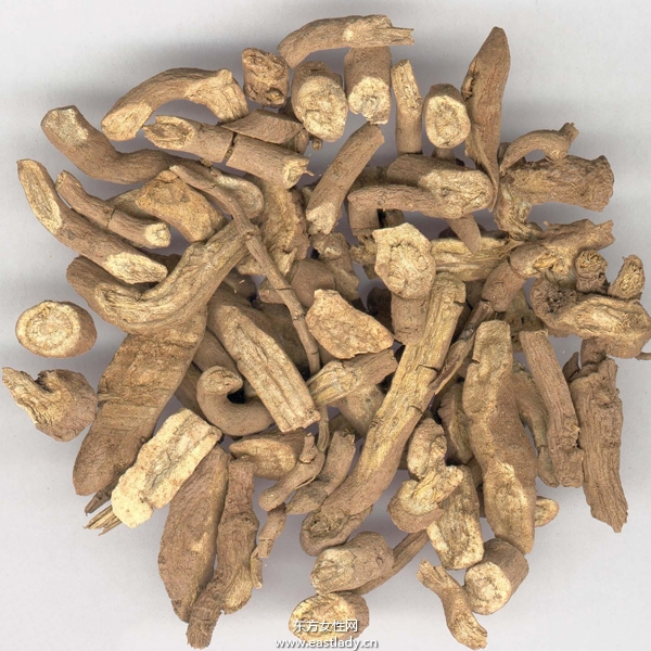 木香有何作用與功效 原來木香還有這作用