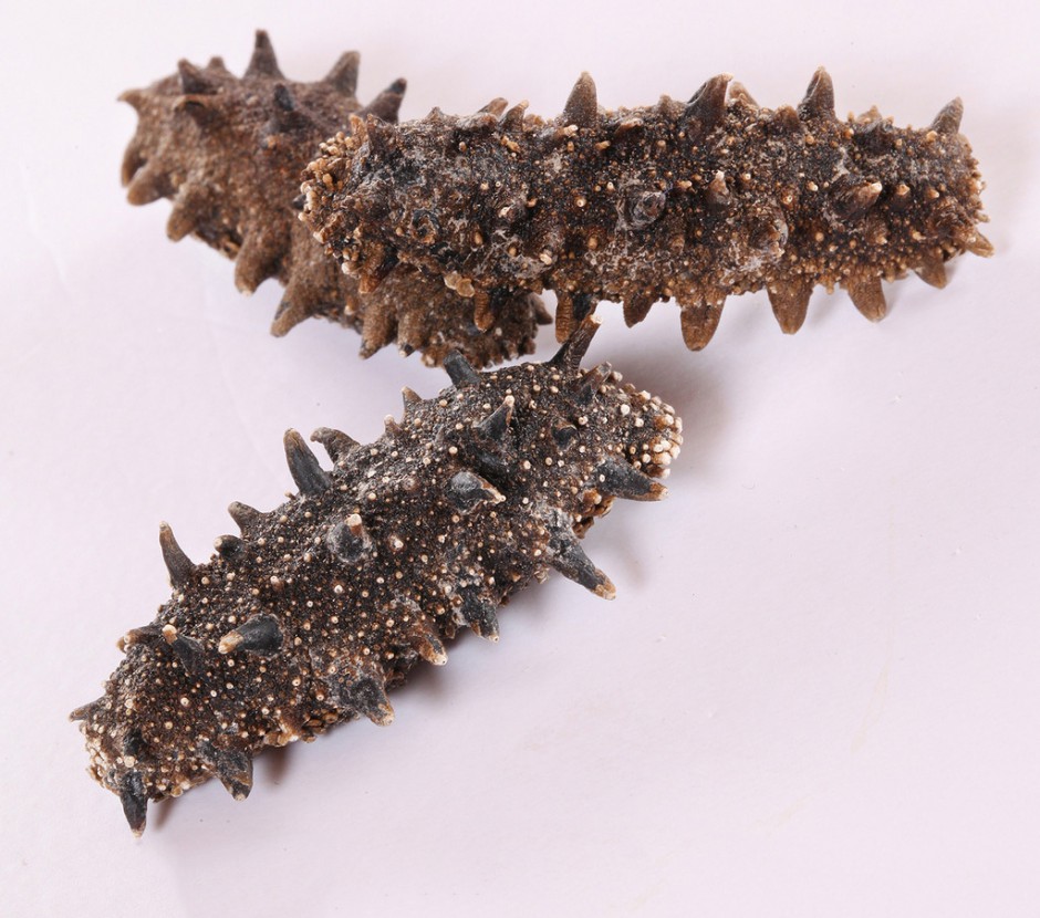 海參的5種美味吃法 滋養(yǎng)補益正當(dāng)時