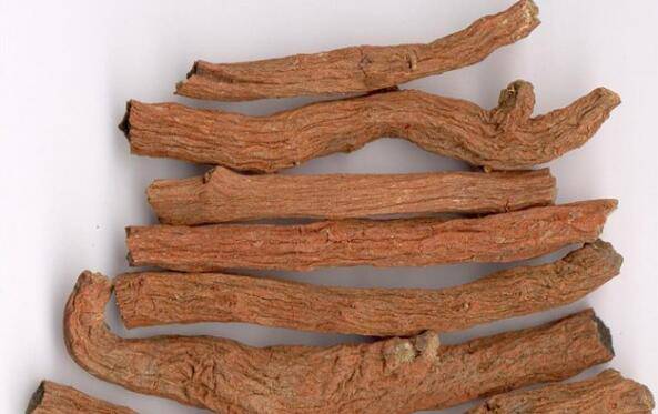 日常五種降血糖的中藥飲食 你知道嗎