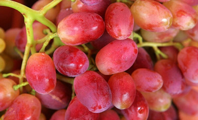 多吃提子還能抗衰老 揭提子的功效與作用