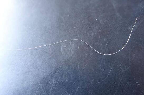 頭發(fā)變白形成原因 看哪些你已中招