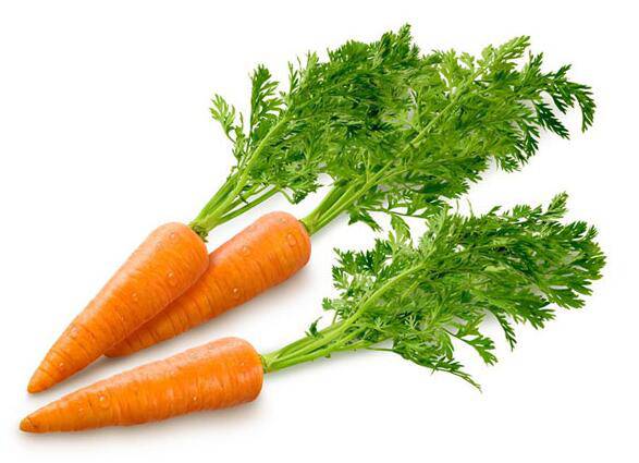 氣血不足吃什么食物好 12個癥狀需警惕