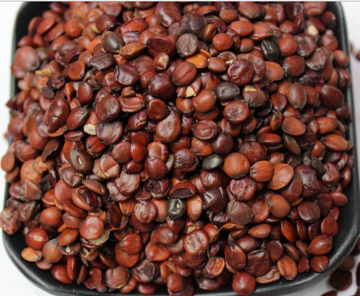 酸棗仁的副作用是什么 教你酸棗仁5大正確吃法