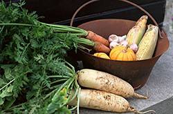 白蘿卜怎么做好吃 有哪些功效