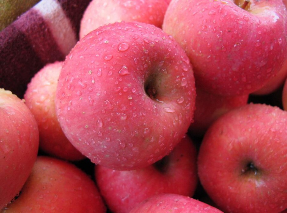 一天當(dāng)中什么時(shí)候吃蘋(píng)果是最好的