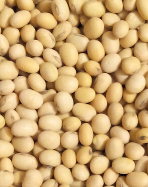 養(yǎng)肝護(hù)肝的食物 養(yǎng)肝必備7種營養(yǎng)物質(zhì)