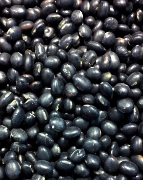 脫發(fā)怎么辦 日常六種食物可有效防止脫發(fā)