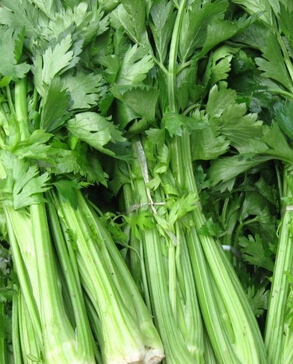 養(yǎng)肝護(hù)肝的食物 養(yǎng)肝必備7種營養(yǎng)物質(zhì)