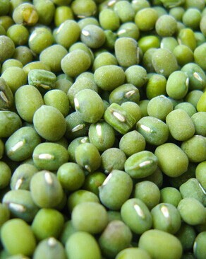 脫發(fā)治療 掉頭發(fā)吃什么好