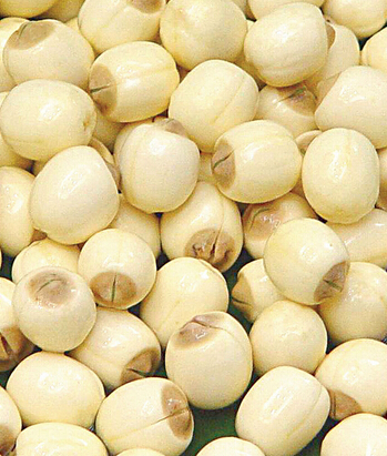 小兒腦癱 小兒腦癱飲食護(hù)理要點(diǎn)及飲食禁忌