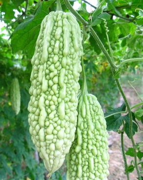 前列腺炎怎么治療 水果緩解前列腺炎