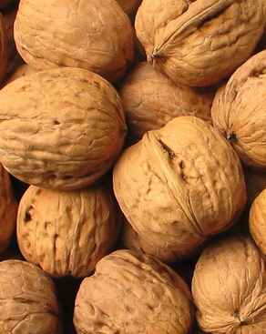 吃什么長頭發(fā) 什么食物有利于頭發(fā)生長