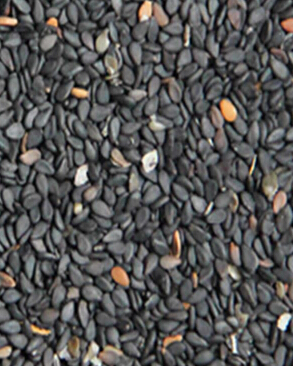 白癜風(fēng)怎么治 民間常用的白癜風(fēng)食療方