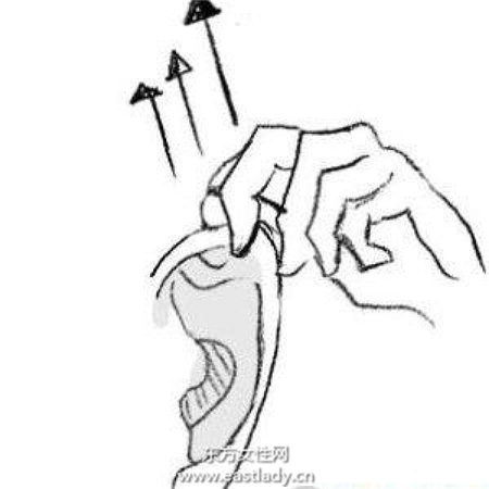 學(xué)起來 10種不花錢的補腎妙方