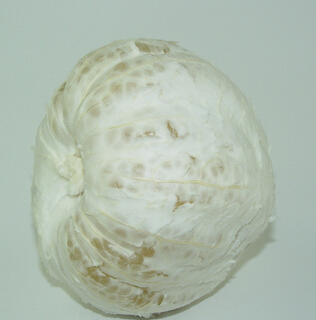 老年人養(yǎng)生 老人吃熟水果食療效果加倍