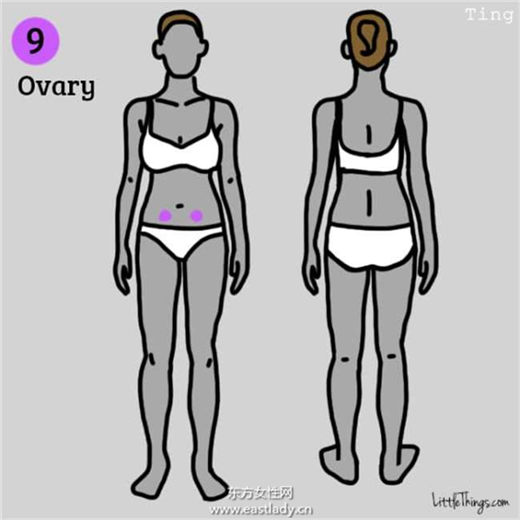 身體九個部位疼痛說明健康在對你發(fā)出危險警告