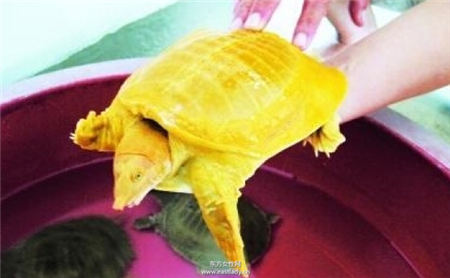 看好了 這幾個月出生的人2016年將咸魚大翻身