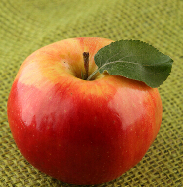 口腔潰瘍吃什么 口腔潰瘍患者吃什么水果好