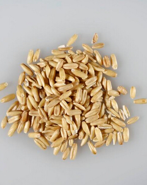 脫發(fā)怎么辦 預(yù)防脫發(fā)是什么好