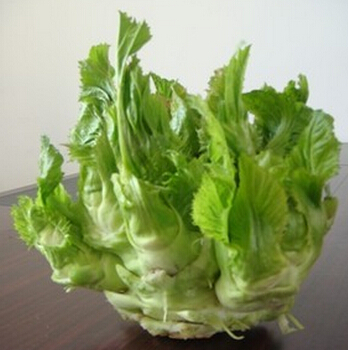 腎虛的癥狀有哪些 冬季腎臟5大求救信號