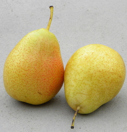 腎結(jié)石飲食注意 腎結(jié)石應(yīng)該吃什么水果好