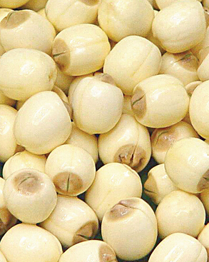 合理膳食 老年人健康的膳食口訣