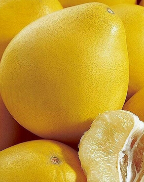 白癜風(fēng)不能吃什么 白癜風(fēng)患者飲食禁忌