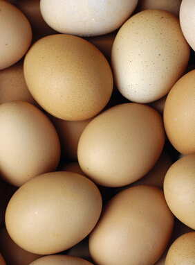 小兒腦癱 冬季小兒腦癱的飲食調(diào)理