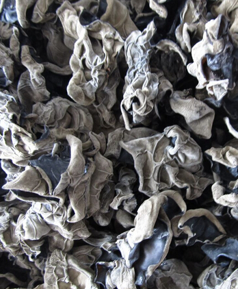 冬季養(yǎng)腎 5種秘訣幫你解決養(yǎng)腎護(hù)腎煩惱