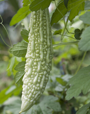 白癜風(fēng)治療 白癜風(fēng)患者飲食保健