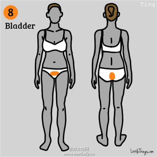 身體九個部位疼痛說明健康在對你發(fā)出危險警告