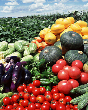 脫發(fā)吃什么好 治療女性脫發(fā)的飲食