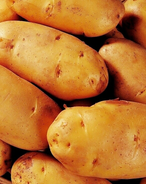 脫發(fā)怎么辦 多補(bǔ)鐵補(bǔ)蛋白止脫效果最佳