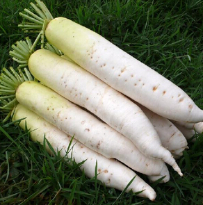 五臟排毒 秋季五臟排毒養(yǎng)生方法