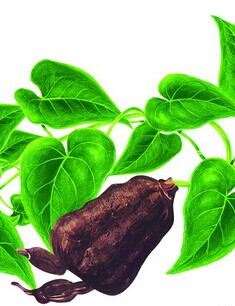 少白頭怎么治療 治療少年白發(fā)的偏方