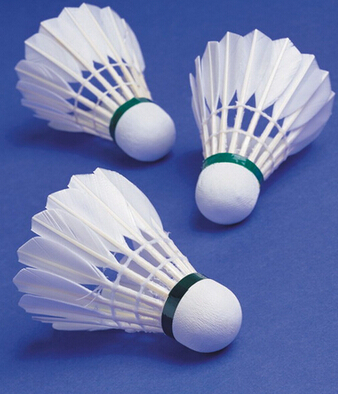 打羽毛球的好處 秋季打羽毛球的好處