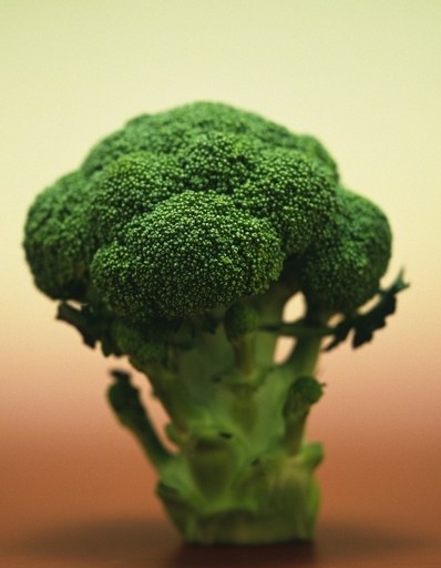 痛風(fēng)的飲食 痛風(fēng)能吃西蘭花嗎