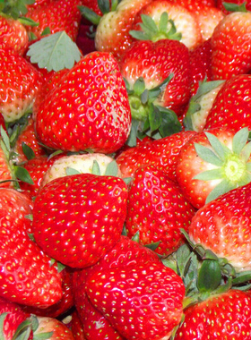 怎樣瘦手臂 八個技巧幫你減掉手臂贅肉