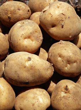 怎樣減肥 減肥中5大錯(cuò)誤認(rèn)知