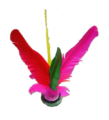 去健身房貴怎么辦 10種最經(jīng)濟實用的運動器材