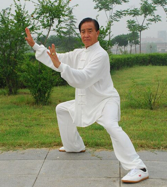 太極拳教程 如何學(xué)習(xí)太極拳