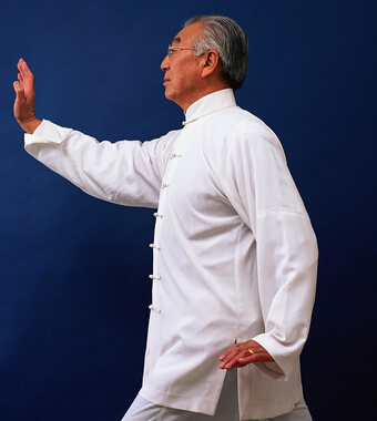 養(yǎng)生太極拳 什么是太極拳的拳理