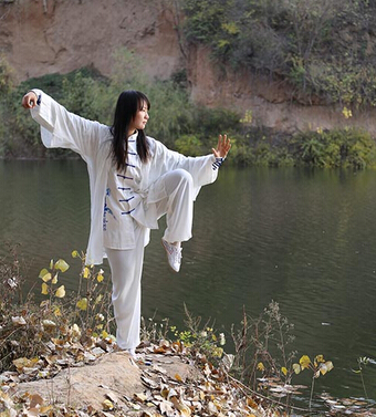 太極拳教程 如何學(xué)習(xí)太極拳