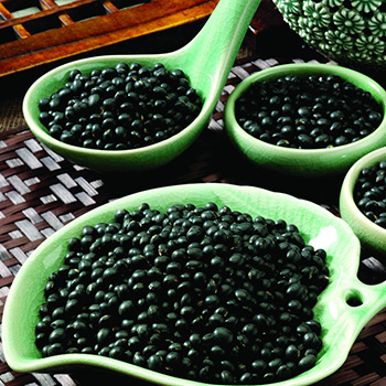 如何補血益氣 黑豆補血益氣功效及制作方法