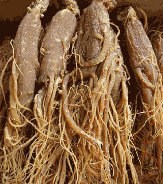 如何補(bǔ)血益氣 補(bǔ)血益氣湯的制作方法