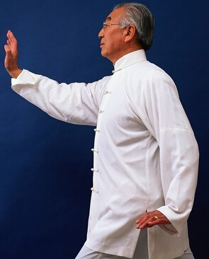 太極拳教程 24式太極拳姿勢要求