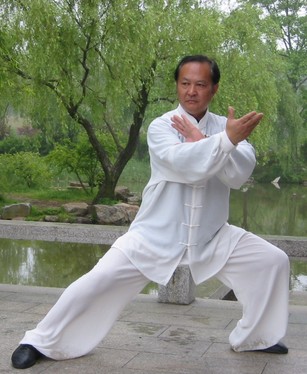 太極拳教學(xué) 怎樣才能練好太極拳